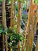 DSCF3324.JPG