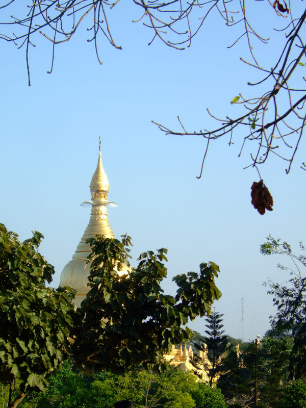 DSCF1434.JPG