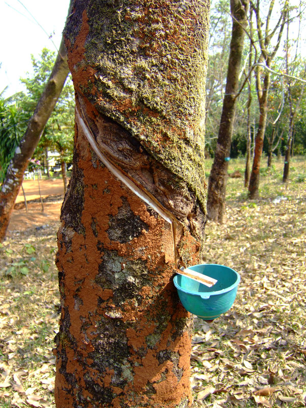 DSCF1708.JPG