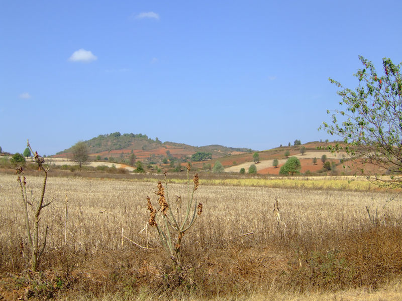 DSCF2092.JPG