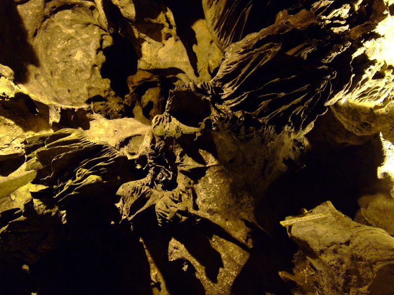 DSCF2150.JPG