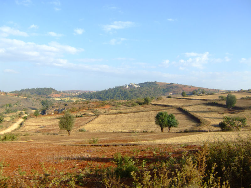 DSCF2167.JPG