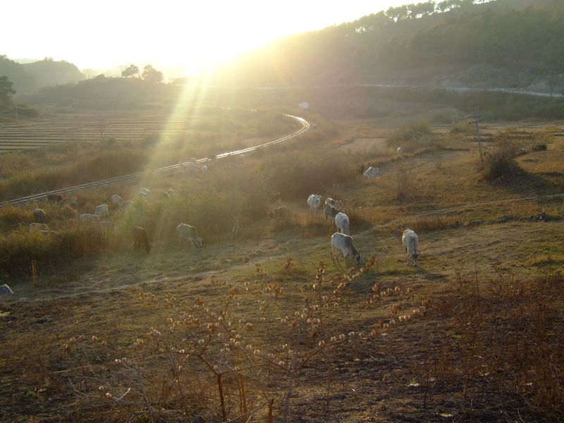 DSCF2175.JPG