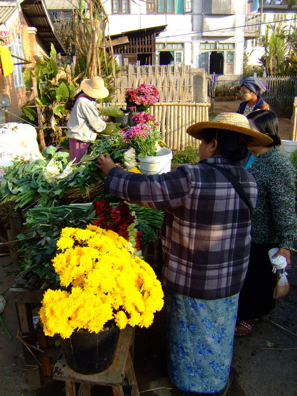 DSCF2195.JPG