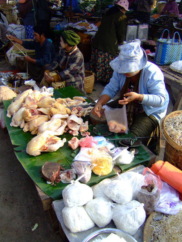 DSCF2209.JPG