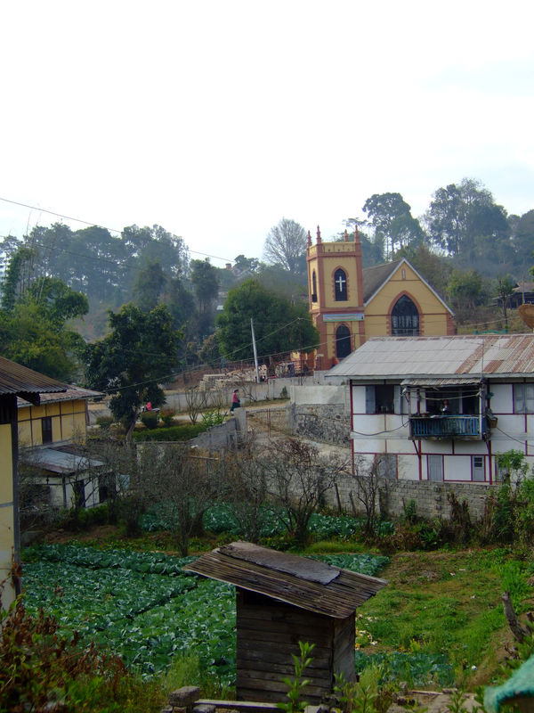 DSCF2223.JPG