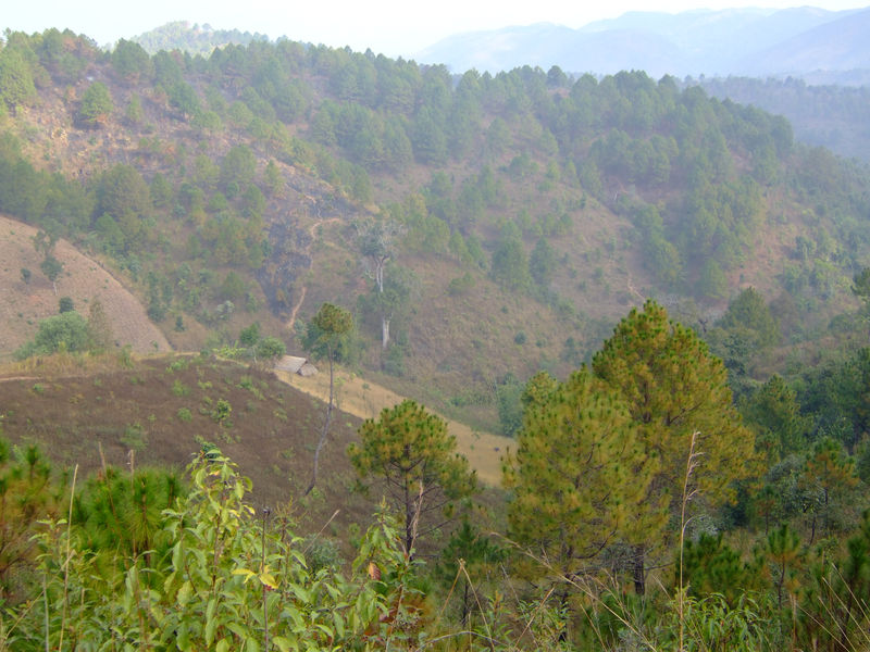 DSCF2232.JPG