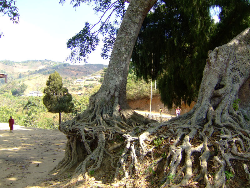 DSCF2275.JPG