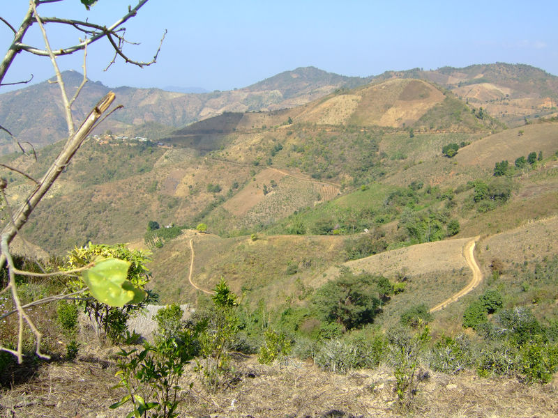 DSCF2283.JPG