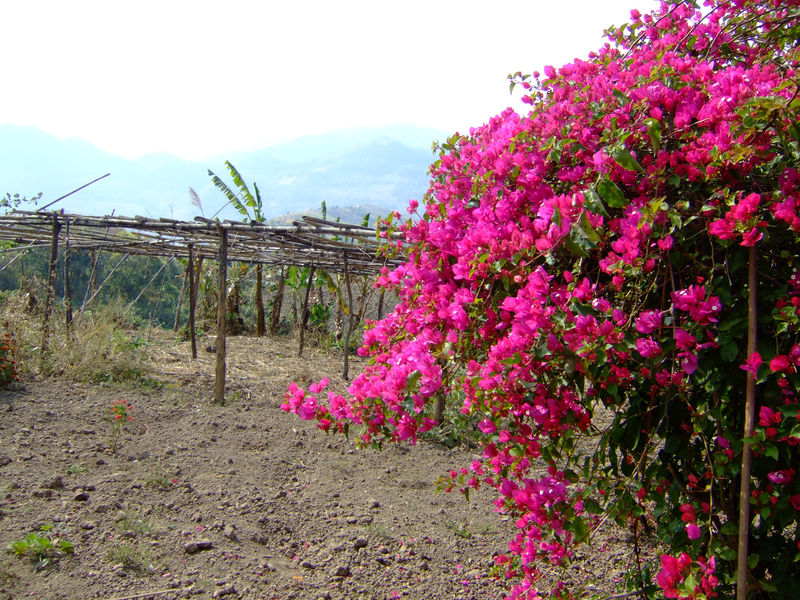 DSCF2287.JPG