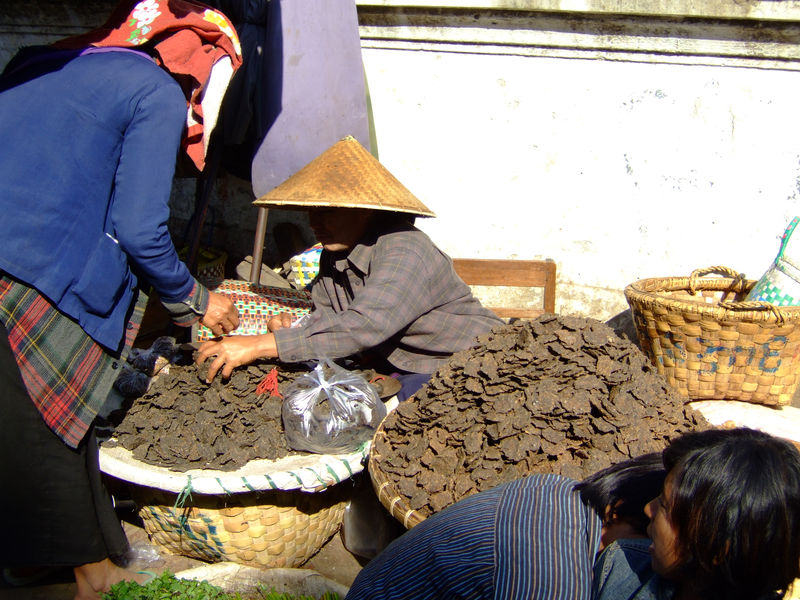 DSCF2582.JPG