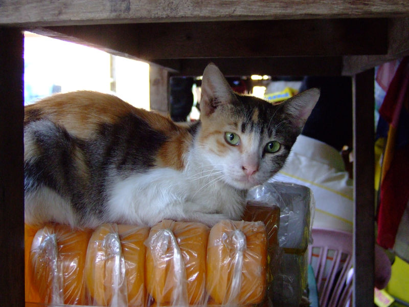 DSCF2587.JPG
