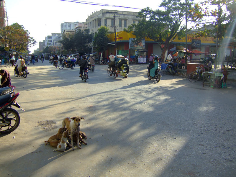 DSCF2627.JPG