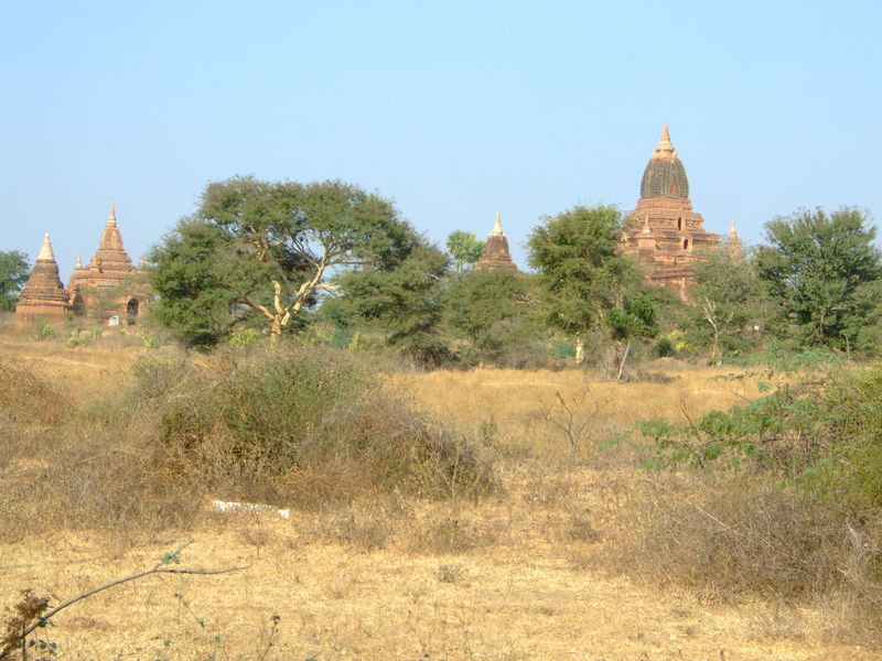 DSCF2680.JPG