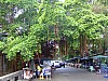 DSCF2783.JPG