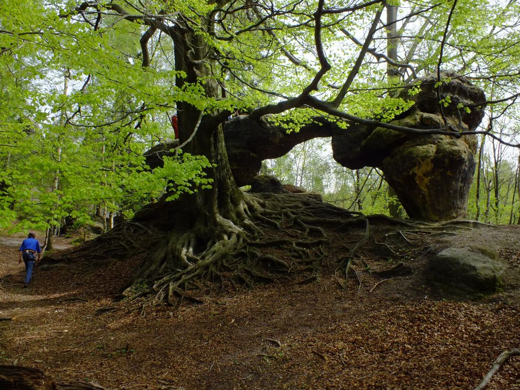 DSCF1608.jpg