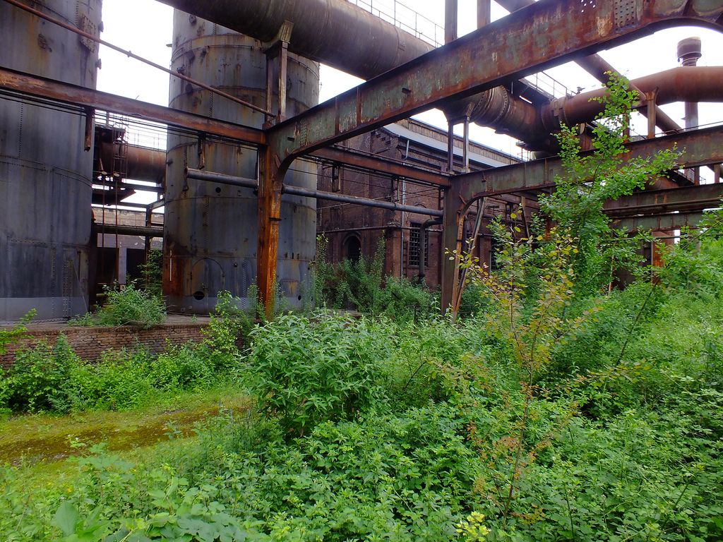 DSCF3693.jpg
