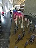 DSCF3660.jpg