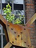 DSCF3673.jpg