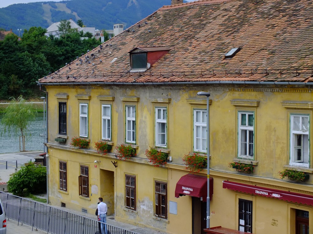 DSCF4364.jpg