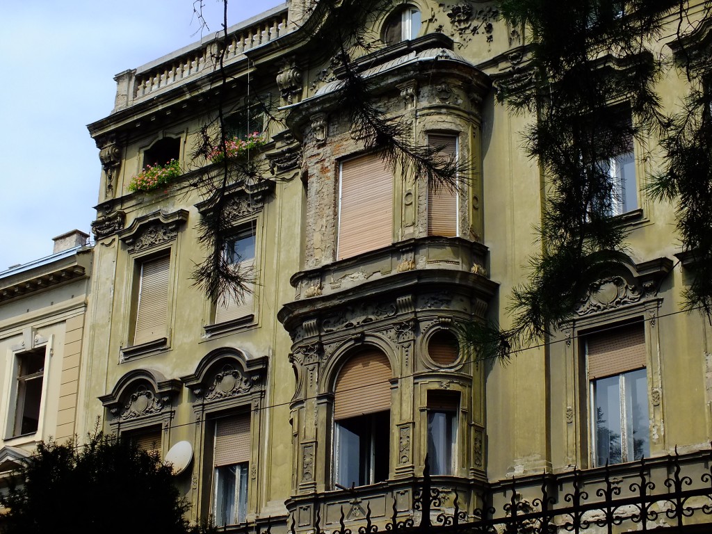 DSCF4388.jpg