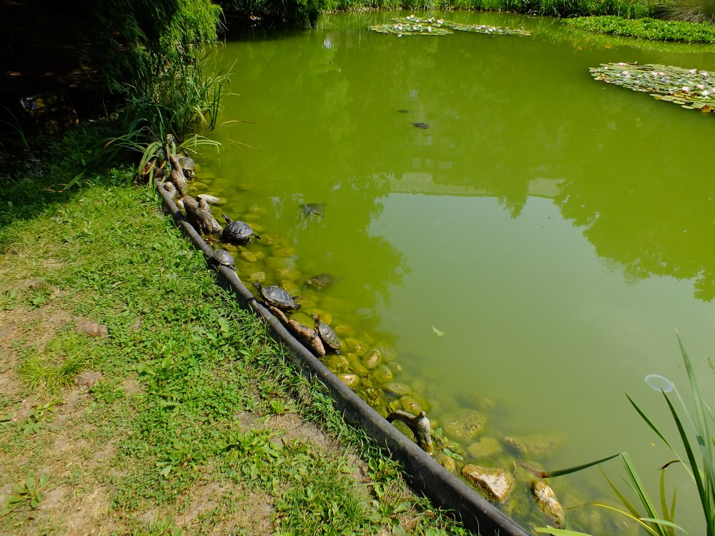 DSCF4389.jpg
