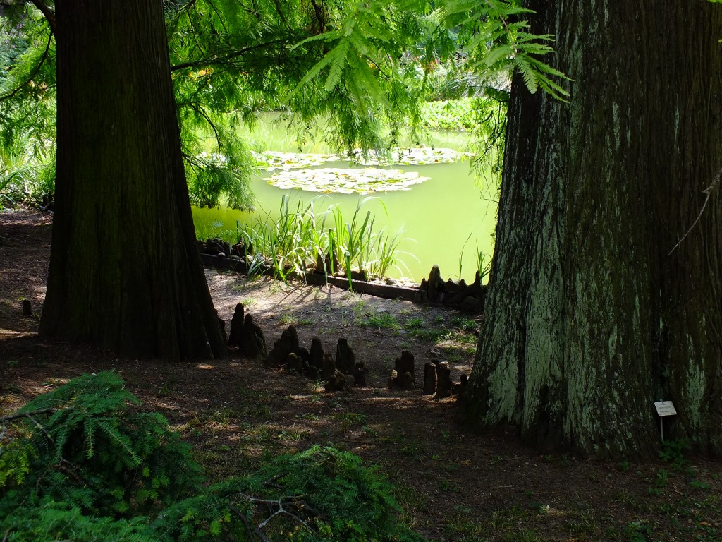 DSCF4393.jpg