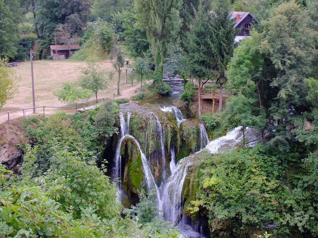 DSCF4474.jpg