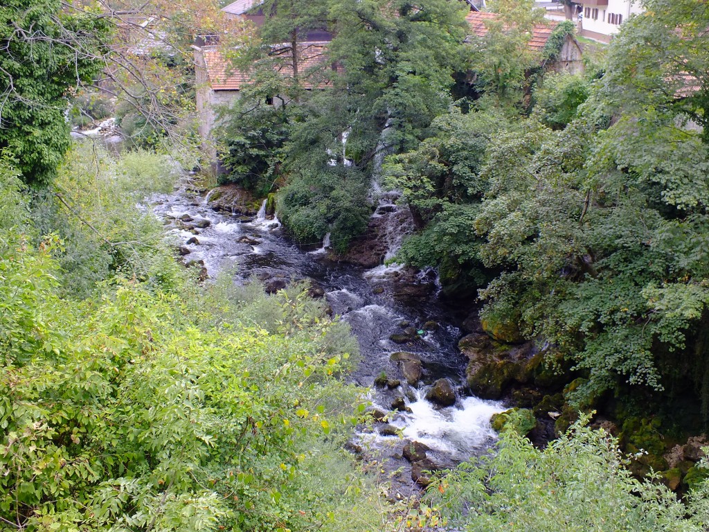 DSCF4476.jpg