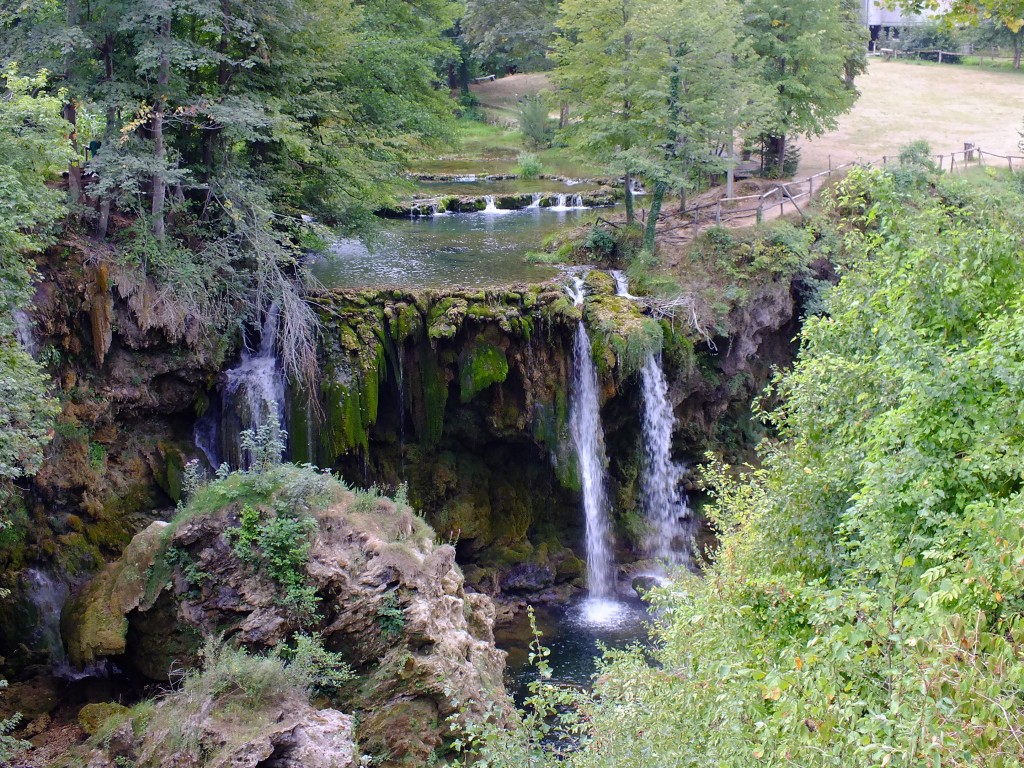 DSCF4477.jpg