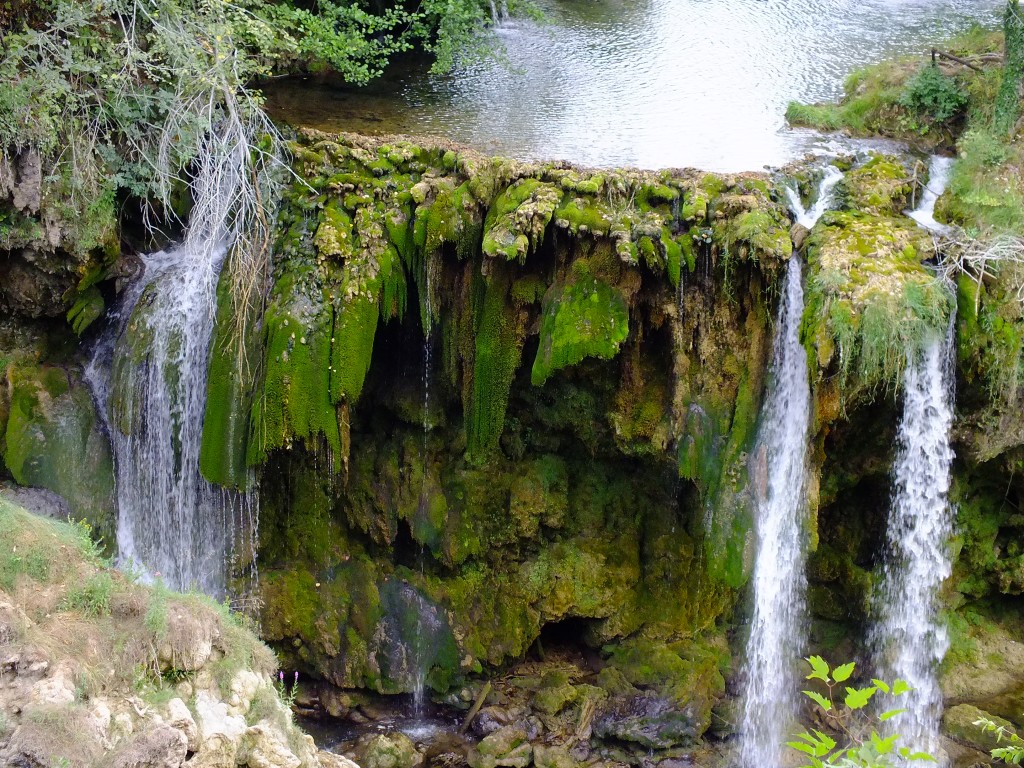 DSCF4480.jpg