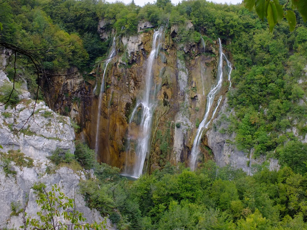 DSCF4486.jpg