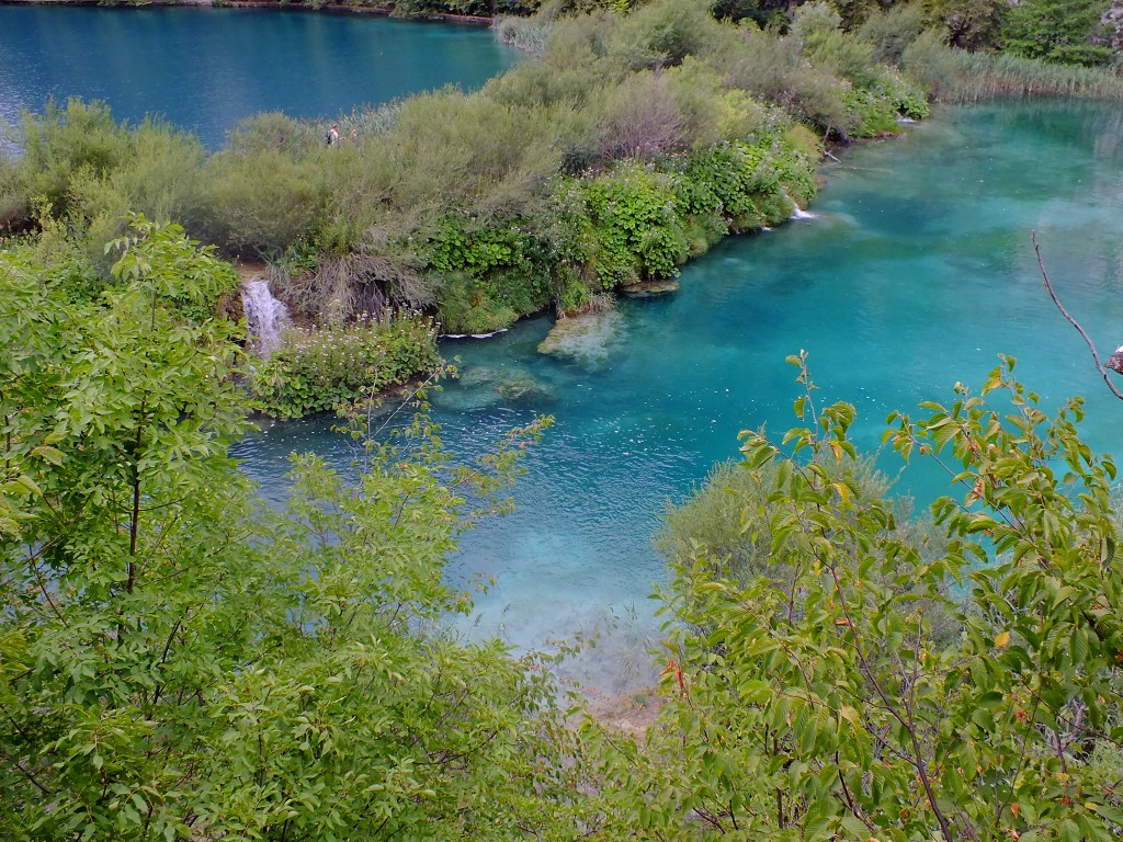 DSCF4488.jpg