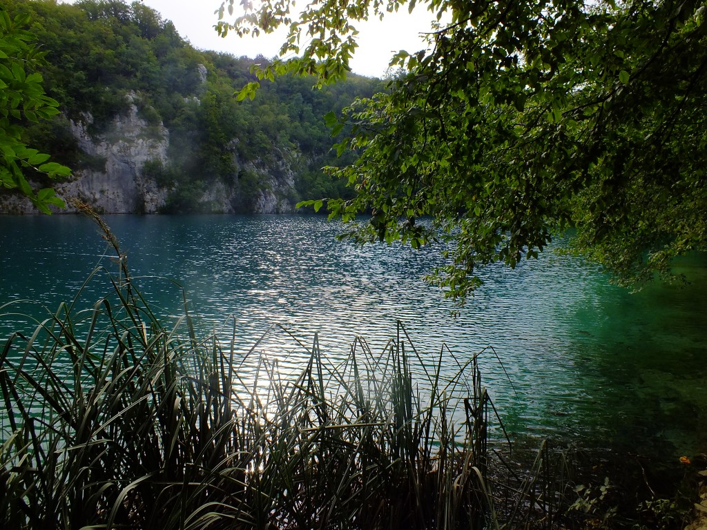 DSCF4494.jpg