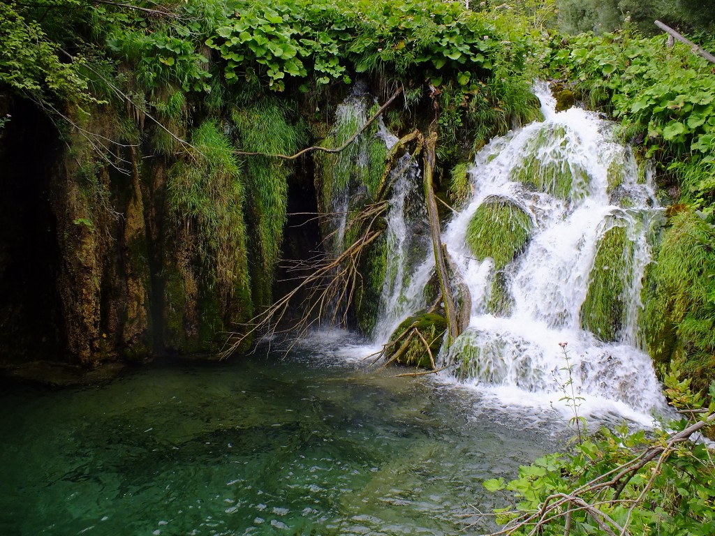 DSCF4498.jpg
