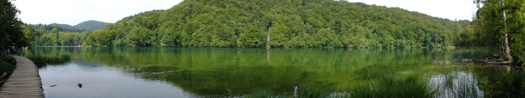 DSCF4515.jpg