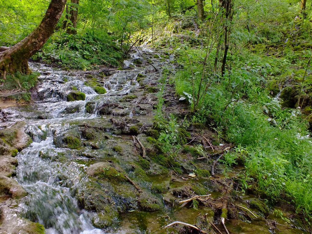 DSCF4527.jpg