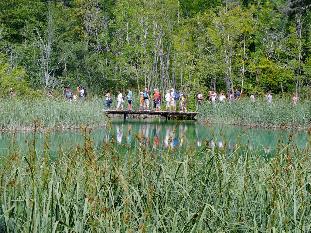 DSCF4530.jpg