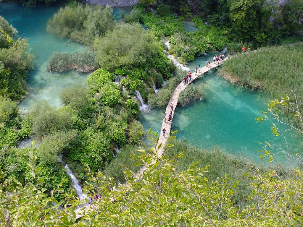 DSCF4540.jpg