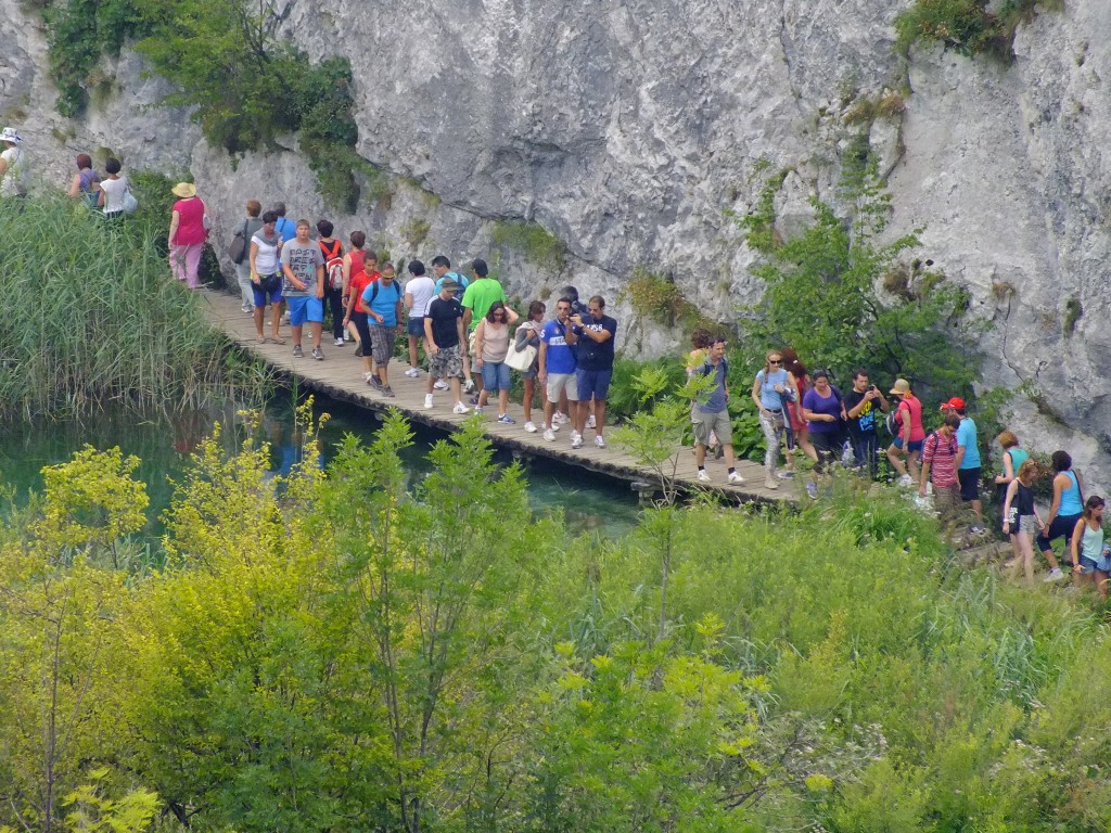 DSCF4544.jpg