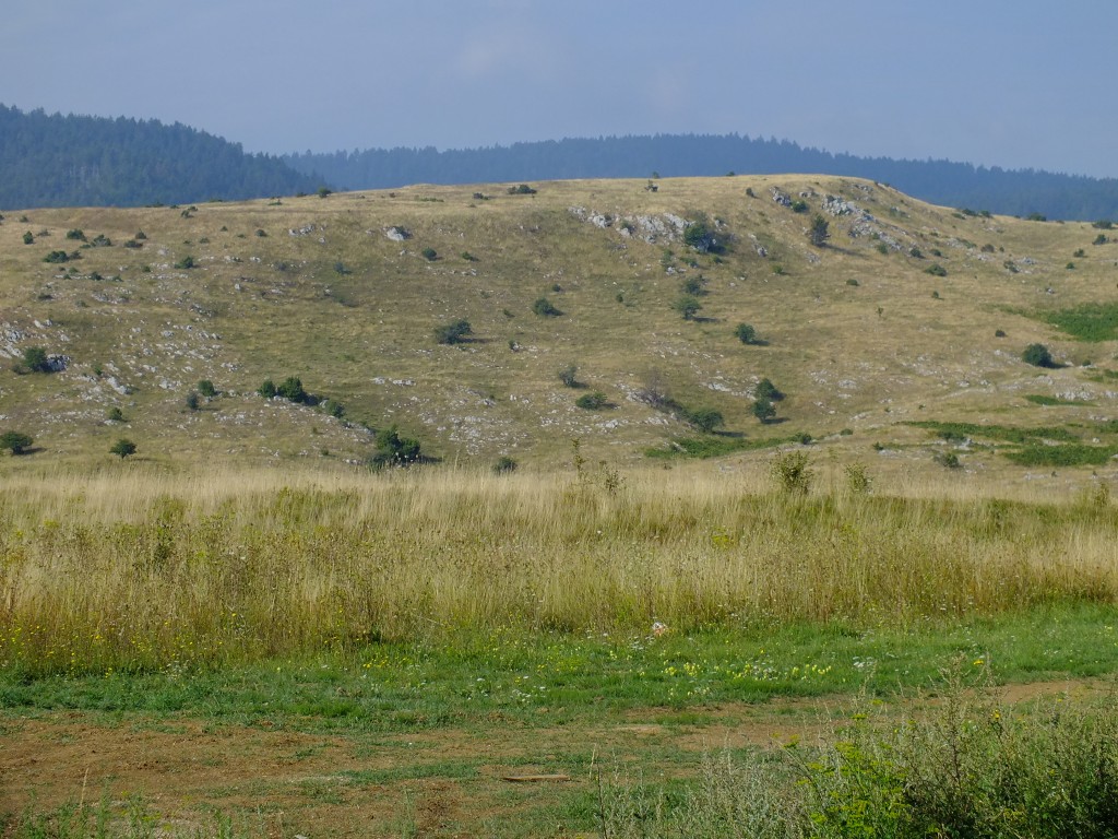 DSCF4552.jpg