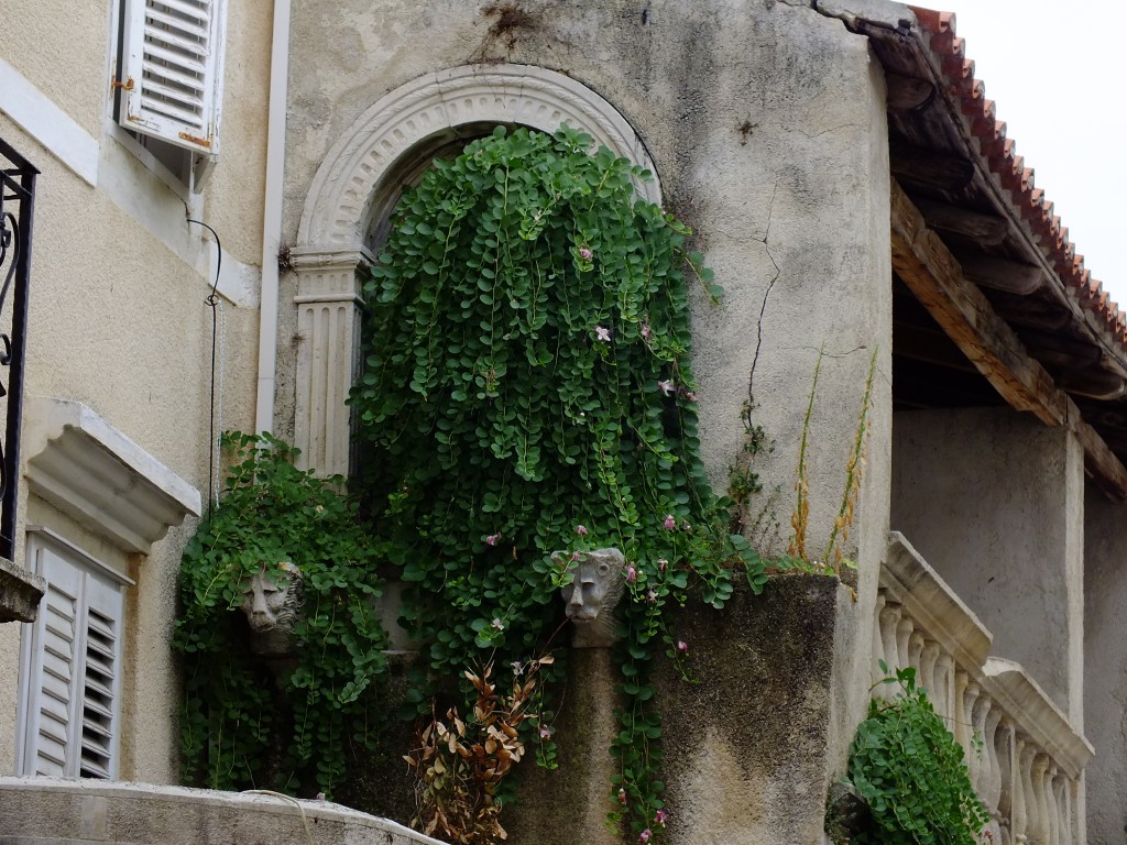 DSCF4583.jpg