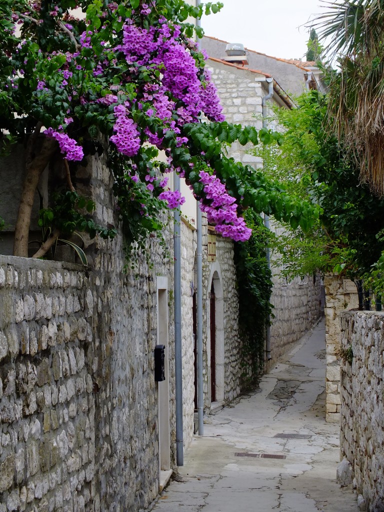DSCF4587.jpg