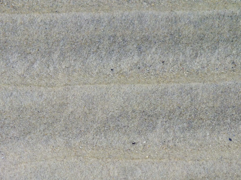 DSCF4636.jpg