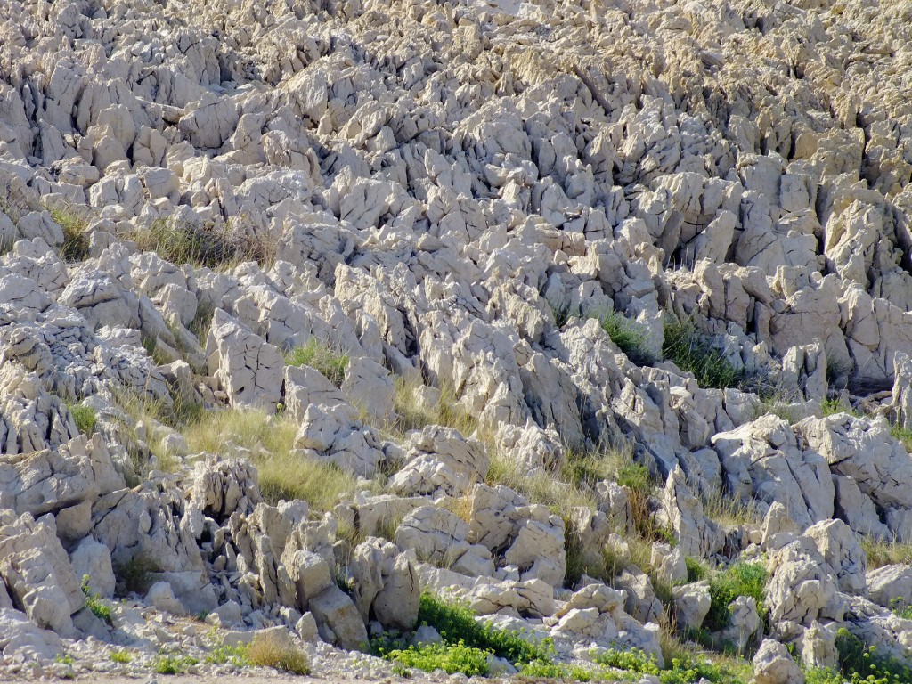 DSCF4647.jpg