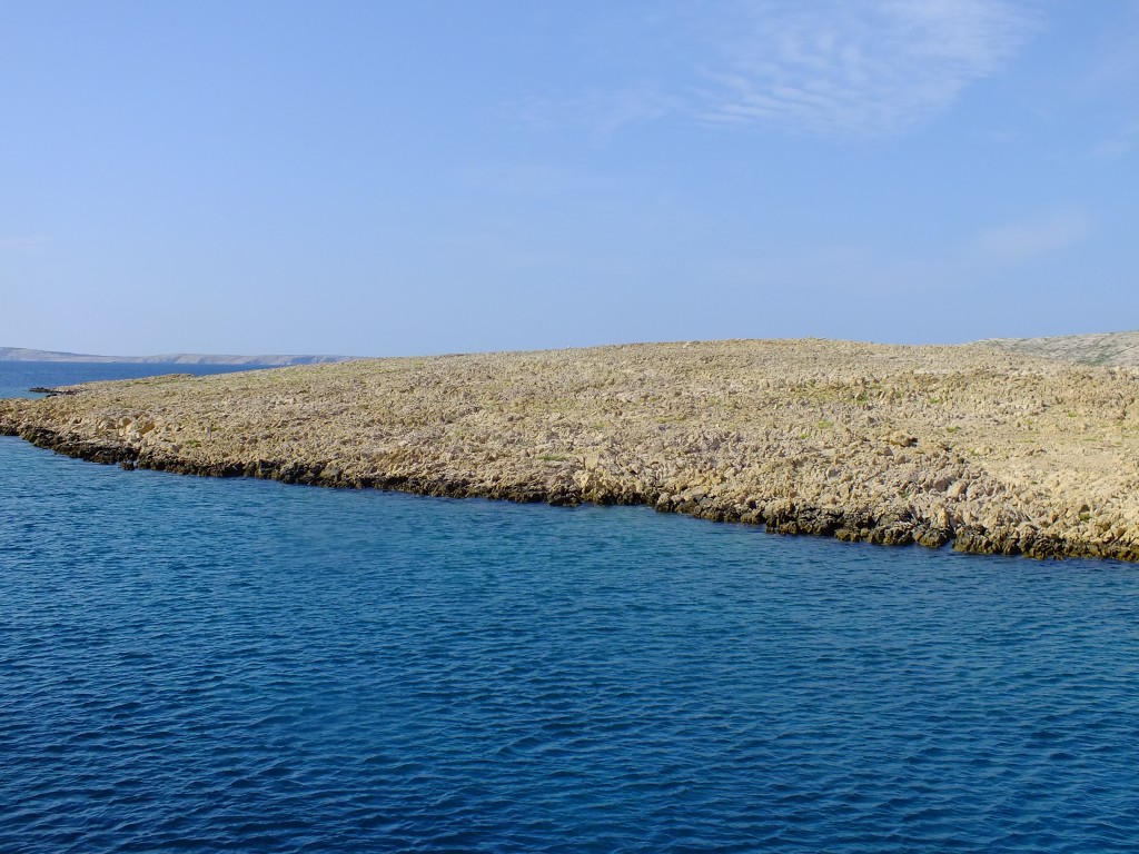 DSCF4650.jpg