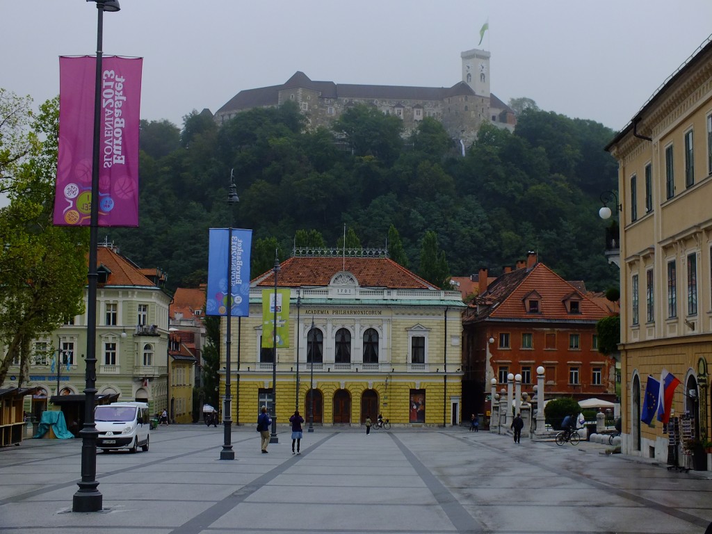 DSCF4681.jpg