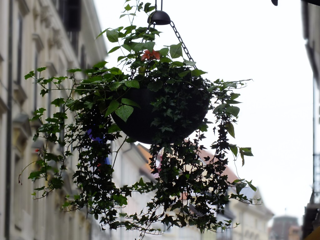 DSCF4688.jpg