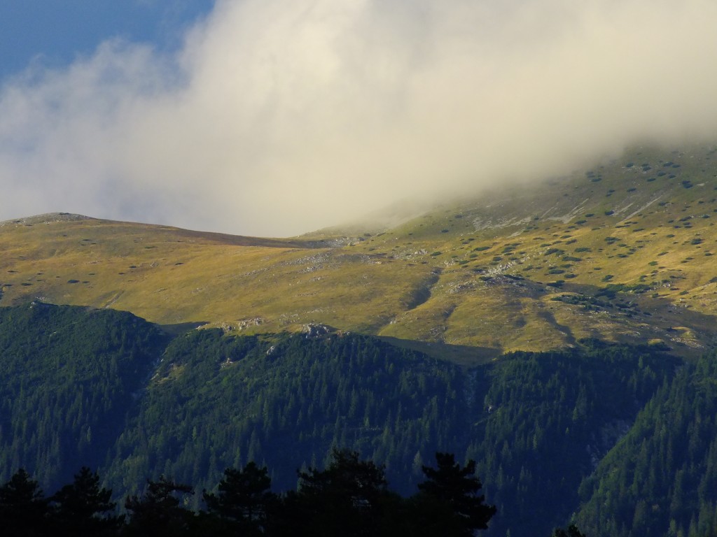 DSCF4772.jpg