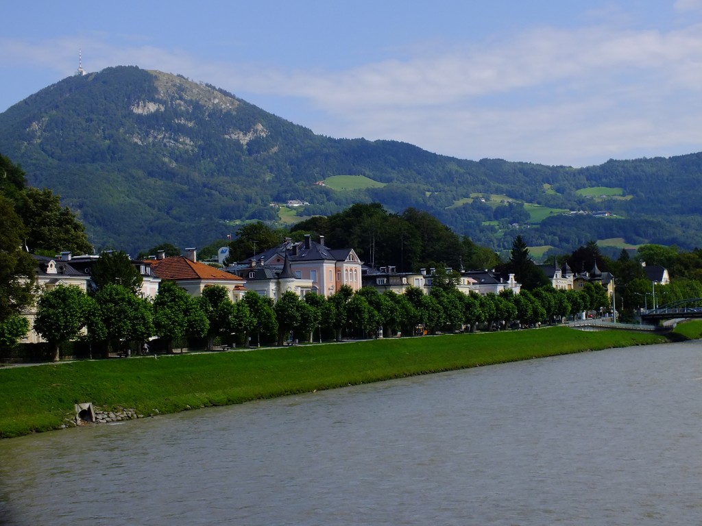 DSCF4794.jpg